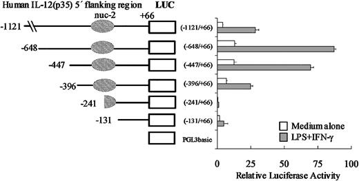 Figure 5. Promoter activity of the human IL-12(p35) gene and 5′ deletion analysis of the promoter region. A series of luciferase (LUC) reporter constructs (□) were generated using the pGL3basic vector and different 5′-flanking fragments of the p35 gene. Positions of the 5′ ends of the various fragments and the region protected by nuc-2 are indicated. RAW 264.7 cells were transiently transfected with 2 μg of the reporter plasmids and 20 ng pRL-TK as an internal control plasmid. RAW 264.7 cells were then left untreated (□) or treated with IFN-γ and LPS (▦). Luciferase activities (Firefly and Renilla) were measured in cellular extracts. Promoter activities were normalized using Renilla luciferase activities. Each point is the mean ± SD of triplicate transfections performed in the same experiment. A representative experiment of 3 independent transfections is shown.