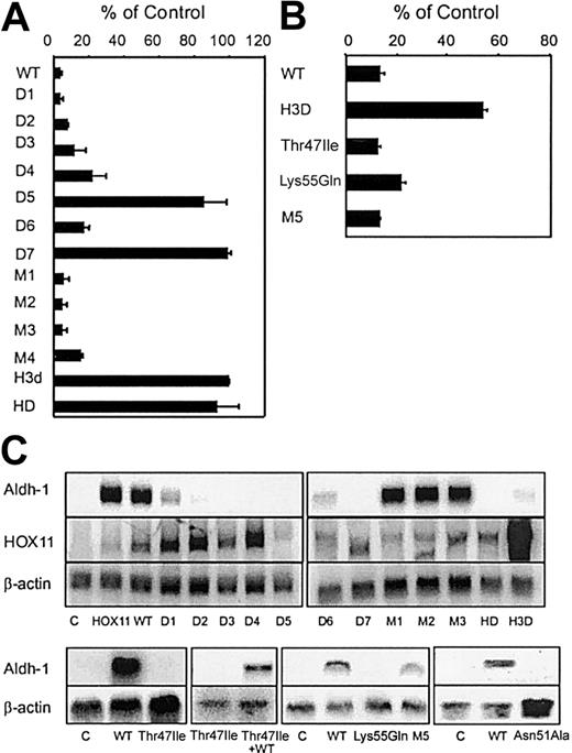 Figure 4. Multiple domains of HOX11 contribute to HOX11-mediated transcriptional regulation. (A) CAT assays were performed to evaluate the contributions of each domain to HOX11 repressor activity. Transient transfections were performed in HeLa cells using pcDNA3-HOX11 (8 μg) and pSV2CAT (2 μg). Thirty-six hours after transfection, CAT activities were determined and normalized to protein expression. The data represent mean values from 3 independent experiments. (B) Point mutations within the homeodomain do not inhibit HOX11 repressor function. HOX11 constructs with point mutations within helix 3 of the homeodomain (Thr47Ile and Lys55Gln) were transiently transfected into HEK 293T cells with a CMV-β-gal reporter plasmid. Data represent 3 independent experiments. (C) Specific HOX11 domains and DNA binding are required for induction of endogenous gene expression. Full-length HOX11 (HOX11) or FLAG-tagged HOX11 (HOX11 WT) and mutant constructs were stably transduced into NIH3T3 cells, and up-regulation of Aldh-1 was measured by Northern blot analysis. β-Actin mRNA served as an internal loading control.