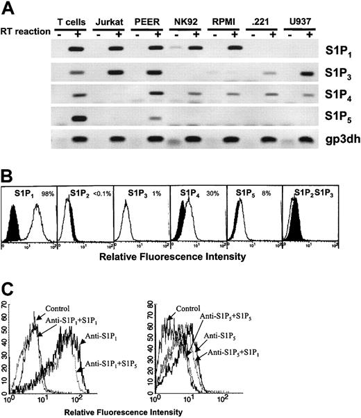 Figure 1. Expression of S1P receptors in peripheral blood T cells. (A) mRNA for peripheral blood T cells and for T-cell lines (Jurkat and PEER), an NK-cell line (NK92), B-cell lines (RPMI and .221), and a monocytic cell line (U937) is shown. Shown is RT-PCR analysis of mRNA for S1P1, S1P3, S1P4, and S1P5, as well as the housekeeping gene for glyceraldehyde-3-phosphate dehydrogenase (G3PDH). (B) Flow cytometric analysis of the expression of S1P receptors in peripheral blood T cells is shown. Background controls in the presence of rabbit IgG (for S1P1, S1P4, and S1P5) or mouse IgG (for S1P2 and S1P3) and FITC-conjugated secondary antibodies are shown in black. In the panel designated S1P2/S1P3, white and black histograms represent the binding of monoclonal anti-S1P2 and anti-S1P3, respectively. Numbers indicate the percentage of positive cells. (C) Anti-S1P1 and anti-S1P5 were either left intact or were incubated with S1P1 or S1P5 peptide prior to binding the antibodies with T cells. Control is the binding of rabbit IgG plus secondary antibody.