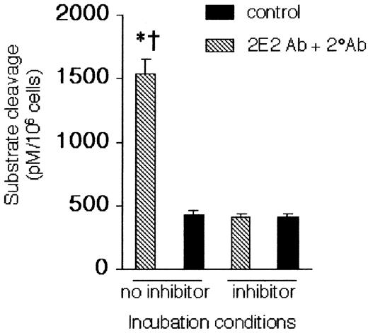 Figure 4. Caspase-3–like activity is activated by Siglec-8 cross-linking. Cells were cultured for 24 hours under control or cross-linking conditions, as indicated, and analyzed for caspase-3–like activity in the presence and absence of the caspase-3 inhibitor Ac-DEVD-CHO (20 μM). Data are mean ± SEM from 3 experiments. *P ≤ .05 for comparison of 2E2 + 2° Ab versus medium control; †P ≤ .05 for comparison of 2E2 + 2° Ab versus 2E2 + 2° Ab + inhibitor.