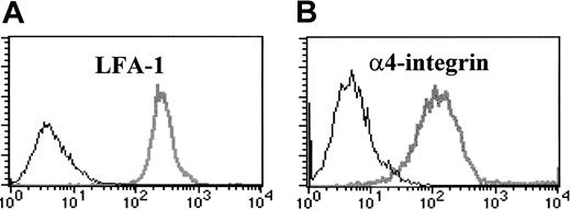 Figure 1. Activated CD8 T cells express LFA-1 and α4-integrin (VLA-4). HA210-219–specific CD8 T-cell clone D4 cells were incubated with FITC- or PE-conjugated monoclonal antibodies to LFA-1 (A) or VLA-4 (B) (gray lines), or isotype control antibody (black lines).