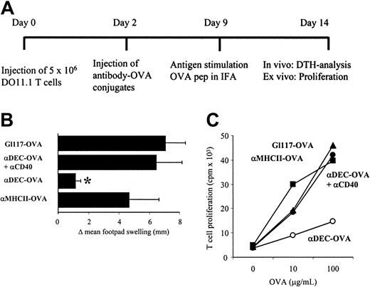 Figure 5. Injection of αDEC conjugates inhibits T-cell proliferation in DTH reactions in vivo. (A) Mice were treated as described in the scheme. (B) After challenge with 30 μg OVA peptide in IFA into the right footpad, footpad thickness was measured after 24 hours using a caliper rule. The asterisk indicates a significant difference (mean of 5 mice/group; α < 0.05) from antibody control (G1117-OVA). Results from 1 of 3 typical experiments are shown. (C) LN cells obtained from mice described in panel B were prepared and cultured in the presence of OVA, as indicated. ▴ indicates GI117-OVA; •, α MHCII-OVA; ▪, αDEC-OVA + αCD40; and ○, αDEC-OVA. T-cell proliferation was assayed by 3H-thymidine uptake.