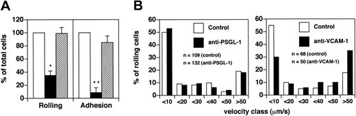 Figure 4. VCAM-1 is required for rolling and arrest of acute MS-derived CD4+ T cells. (A) To determine the role of PSGL-1, CD4+ T cells were isolated from 4 patients with acute MS. Control cells received no treatment, whereas other cells were pretreated with 100 μg/mL anti–PSGL-1 mAb for 15 minutes at 25°C in a total volume of 300 μL and were injected through the right carotid catheter. A supplement of up to 100 μg mAb was administered, together with anti–PSGL-1 mAb-treated cells. Ten venules were analyzed. Venular and hemodynamic parameters (mean ± SD) during the experiments were: D = 40.6 ± 10.1 μm; Vm = 1857 ± 410 μm/s; WSS = 8.4 ± 2.2 dyne/cm2 for control cells; and D = 40.6 ± 10.1 μm; Vm = 2067 ± 393 μm/s; WSS = 10.2 ± 3.5 dyne/cm2 for antibody-treated cells. To determine the role of VCAM-1, CD4+ T cells were isolated from 3 patients with acute MS. Control cells were injected before mAb administration. Mice received intravenous administration of 100 μg mAb anti–VCAM-1. After 10 minutes, we injected the same number of cells used for the controls. Six venules were examined. Venular and hemodynamic parameters (mean ± SD) during the experiments were: D = 46.6 ± 21.8 μm; Vm = 2125 ± 448 μm/s; WSS = 10.5 ± 4.6 dyne/cm2 for control cells. After antibody treatment, the parameters were: D = 46.6 ± 21.8 μm; Vm = 2743 ± 629 μm/s; WSS = 12.5 ± 5.3 dyne/cm2. Bars depict rolling and arrest fractions as percentages of control cells that rolled and arrested in the same venule. □ indicates control; ▪, anti–VCAM-1; and ▦, anti–PSGL-1. Data are expressed as mean ± SEM. Groups were compared with control using the Kruskall-Wallis test followed by Bonferroni correction of P.*P < .01; **P < .001. (B) Velocity histograms were generated as described in the legend to Figure 1B. n indicates number of rolling cells examined.