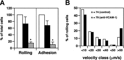 Figure 5. PSGL-1 is critical for the recruitment of acute MS-derived CD8+ T cells. (A) To determine the role of PSGL-1, CD8+ T cells were isolated from 3 patients with acute MS. Control cells received no treatment, but other cells were treated as described in the legend to Figure 4A. Seven venules were analyzed in total. Venular and hemodynamic parameters (mean ± SD) during the experiments were: D = 44.7 ± 10.9 μm; Vm = 1919 ± 749 μm/s; and WSS = 8.6 ± 2.5 dyne/cm2 for control cells. For anti–PSGL-1 mAb-treated cells, they were: D = 44.7 ± 10.9 μm; Vm = 1905 ± 682 μm/s; WSS = 8.6 ± 3.1 dyne/cm2. To determine the role of VCAM-1, CD8+ T cells were isolated from 3 patients with acute MS. Control cells were injected before mAb administration. Initially, mice received 100 μg mAb anti–VCAM-1 intravenously. After 10 minutes we injected the same number of cells as were injected for control. Six venules were examined. Venular and hemodynamic parameters (mean ± SD) during the experiments were: D = 50.8 ± 5.1 μm; Vm = 2017 ± 964 μm/s; WSS = 7.7 ± 3 dyne/cm2 for control cells. After antibody treatment they were: D = 50.8 ± 5.1 μm; Vm = 2256 ± 1022 μm/s; WSS = 8.6 ± 3.1 dyne/cm2. Bars depict rolling and arrest fractions as percentages of control cells that rolled and arrested in the same venule. □ indicates control; ▪, anti–VCAM-1; and ▦, anti–PSGL-1. Data are expressed as the mean ± SEM. Groups were compared with control using the Kruskall-Wallis test followed by Bonferroni correction of P.*P < .01. (B) Velocity histograms were generated as described in the legend to Figure 1B. n indicates number of rolling cells examined; □, control; and ▪, anti–VCAM-1.