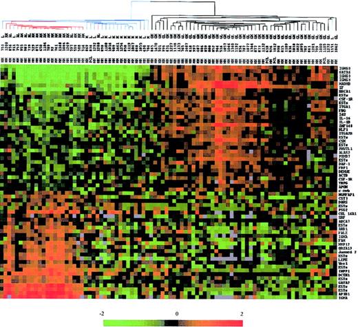 Figure 3. Dendrogram and color matrix representing the hierarchic clustering of the 88 myeloma samples versus 61 genes. The genes used in this analysis were chosen by a discriminating score statistic that is most highly correlated with the 2 IgH isotypes. Blue-colored branches represent BJ-MM, red branches represent IgA-MM, and black branches represent IgG-MM. Columns represent individual MM samples, and rows represent individual genes on the microarray. A pseudocolor representation of gene expression is shown according to the scale at the bottom; red indicates expression levels greater than the median, and green indicates levels less than the median. Gray indicates excluded values.