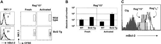 Figure 4. Bcl-2 is a downstream target of IL-15 in NK cells. (A) Left panels show expression of human Bcl-2 transgenic protein (hBcl-2) in gated NK1.1+ NK cells from Rag° and Rag°Eμ-2-25 mice. Percentages of Bcl-2+ NK cells is indicated. CFSE dilution profiles of splenic NK cells 5 days after adoptive transfer into the indicated hosts. An electronic gate was set on CD122+ (IL-2Rβ+) cells. (B) Absolute numbers of recovered splenic CD122+NK1.1+ NK cells at 5 days after transfer. Error bars denote standard deviations. (C) Endogenous Bcl-2 expression is shown in gated NK1.1+ splenocytes 4 days after adoptive transfer into the indicated hosts. Control isotype staining (CIg) is indicated by the dark gray histogram.