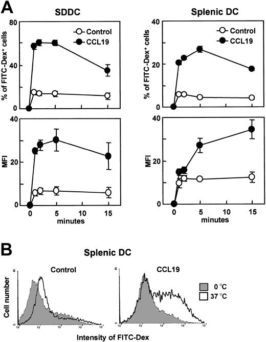 Figure 4. The effect of CCL19 on the endocytosis of FITC-dextran by SDDCs and splenic DCs. SDDCs were generated by culturing splenocytes with fibroblast supernatant and GM-CSF for 14 days. Splenic DCs were freshly isolated from B6 mice. SDDCs and splenic DCs were treated with LPS for 24 or 20 hours, respectively, for use as mature DCs. Mature SDDCs or splenic DCs were incubated with FITC-dextran at 1 mg/mL in the presence or absence of CCL19. (A) Time course of endocytosis; each symbol represents the mean ± SE of 3 independent experiments. (B) Amount of FITC-Dex internalized by mature splenic DCs at 5 minutes; data are representative of 3 independent experiments.