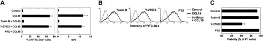 Figure 7. The effects of C difficile toxin B, Y-27632, or PTX on CCL19-induced endocytosis by mature DCs. BC1 cells treated with LPS for 24 hours were used as mature DCs. Mature DCs were pretreated with C difficile toxin B, Y-27632, or PTX for 3 hours, then incubated with FITC-dextran (Dex) at 1 mg/mL. The amount of FITC-Dex endocytosis was determined 2 minutes after treatment. (A) Proportion of FITC-Dex–positive cells (left panel) and the MFI of the cells (right panel) following incubation; each column represents the mean ± SE of 4 independent experiments. (B) Representative fluorescence histograms from 4 independent experiments. (C) The effect of inhibitors on the viability of DCs. Following the treatment of mature BC1 cells with each inhibitor for 3 hours, the proportions of propidium iodide–negative (PI–) cells were determined; each column represents the mean ± SE of 4 independent experiments.