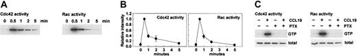 Figure 8. Cdc42 and Rac activation in mature DCs after CCL19 stimulation. BC1 cells treated with LPS for 24 hours were used as mature DCs. The quantity of activated Cdc42 and Rac (GTP-bound form) in the cells was determined by an affinity precipitation assay. (A) Kinetics of Cdc42 and Rac activation following stimulation of mature BC1 cells with CCL19 for 0.5, 1, 2, and 5 minutes. (B) The mean relative intensity ± SE of 3 independent experiments. (C) The effect of PTX on Cdc42 and Rac activity. Mature BC1 cells were pretreated with PTX for 3 hours, then stimulated with CCL19 for 30 seconds. The amount of GTP-bound (GTP) and total (total) Cdc42 (left panel) and Rac (right panel) are each shown. These results are representative of 3 independent experiments with the same results.
