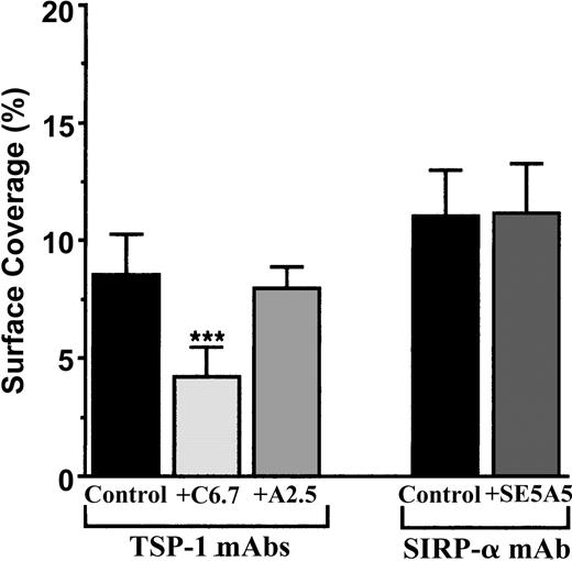 Figure 2. Arrest of flow platelets in whole blood on TNF-α–treated vascular endothelial cells incubated with blocking mAbs directed against TSP-1 or SIRPα. EA endothelial cells were grown onto permanox Lab-Tek 1 chamber slides and stimulated with 25 ng/mL rh TNF-α for 18 hours. Then 40 μg/mL anti-TSP-1 C6.7 and A2.5 or anti-SIRPα SE5A5 mAbs were added or not added (control) to these cells for 10 minutes at 37°C. They were washed with PBS before being placed in the flow chamber. After platelet labeling in PRP with calceine, whole blood was reconstituted and perfused through the chamber at 37°C at a shear rate of 100 seconds–1 for 3 minutes. Platelet adhesion, expressed as the percentage of surface covered with platelets, is the average ± SEM of 10 random fields per coverslip. ***P < .001. This experiment is representative of 3 experiments performed using blood from different donors.