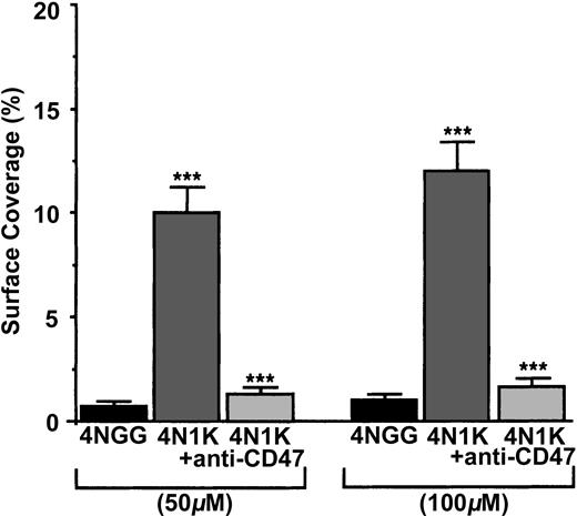 Figure 3. Arrest of flow platelets in whole blood on immobilized 4N1K and 4NGG peptides. Permanox Lab-Tek 1 chamber slides were coated with 50 or 100 μM 4N1K (a CD47 agonist from the CBD of TSP-1) or 4NGG (control) peptides and were placed in the flow chamber. Platelets were first labeled with calceine in PRP and then incubated or not incubated with 40 μg/mL anti-CD47 mAb B6H12 for 10 minutes at 37°C. Whole blood was reconstituted and perfused through the chamber at 37°C and at a shear rate of 100 seconds–1 for 3 minutes. Platelet adhesion, expressed as percentage of surface covered with platelets, is the average ± SEM of 10 random fields per coverslip. ***P < .001. This experiment is representative of 3 experiments performed using blood from different donors.