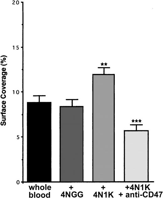Figure 4. Arrest of flow platelets incubated with or without the 4N1K peptide in solution on TNF-α–treated endothelial cells. EA endothelial cells were grown onto permanox Lab-Tek 1 chamber slides and stimulated with 25 ng/mL rhTNF-α for 18 hours. After platelet labeling in PRP with calceine, platelets were incubated for 15 minutes at 37°C with or without 100 μM 4N1K or 4NGG peptides in solution. In some experiments, platelets were first incubated for 10 minutes at 37°C with 40 μg/mL anti-CD47 mAb B6H12 before stimulation with the 4N1K peptide. Whole blood was then reconstituted and perfused through the chamber at 37°C and at a shear rate of 100 seconds–1 for 3 minutes. Platelet adhesion, expressed as percentage of surface covered with platelets, is the average ± SEM of 10 random fields per coverslip. **P < .01; ***P < .001. This experiment is representative of 3 experiments performed using blood from different donors.