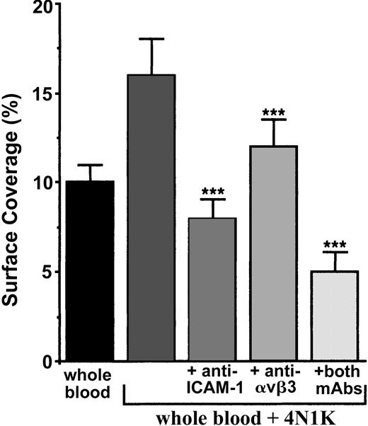 Figure 6. Arrest of 4N1K-activated platelets on TNF-α–treated endothelial cells incubated with blocking mAbs directed against ICAM-1, αvβ3 integrin, or both. EA endothelial cells were grown onto permanox Lab-Tek 1 chamber slides and stimulated with 25 ng/mL rhTNF-α for 18 hours. Then 40 μg/mL anti–ICAM-1 B-H17, anti-αvβ3 LM609, or both mAbs were added to these cells for 10 minutes at 37°C. They were washed with PBS before being placed in the flow chamber. After platelet labeling in PRP with calceine, platelets were incubated for 15 minutes at 37°C with or without 100-μM 4N1K peptide in solution. Whole blood was then reconstituted and perfused through the chamber at 37°C and at a shear rate of 100 seconds–1 for 3 minutes. Platelet adhesion, expressed as percentage of surface covered with platelets, is the average ± SEM of 10 random fields per coverslip. ***P < .001. This experiment is representative of 3 experiments performed using blood from different donors.
