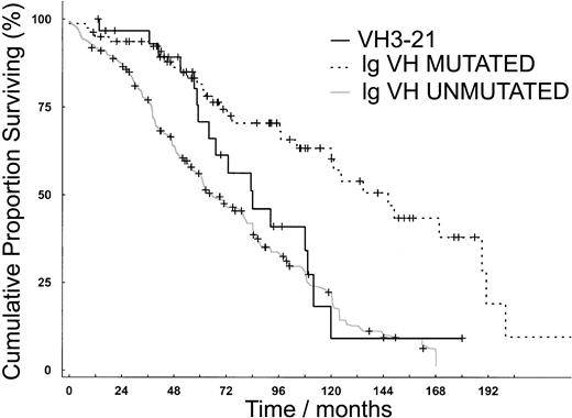 Figure 3. Kaplan-Meier curve of the CLL patient material investigated in the study showing mutated (n = 79), unmutated (n = 134), and VH3-21 cases (n = 31) with a median survival of 137, 64, and 83 months, respectively.