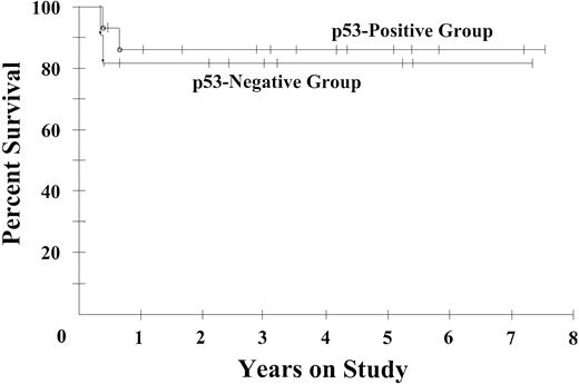 Figure 4. Progression-free survival of 11 patients with p53-positive ARL and 16 patients with p53-negative ARL. Progression-free survival probabilities are 86% and 82%, respectively, at the median potential follow-up time of 53 months.