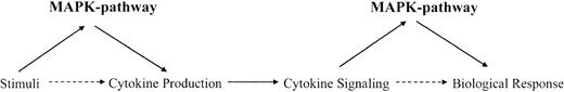 Figure 1. Dual roles for Map kinase pathways in the induction of cytokine responses. Regulation of cytokine production and participation in cytokine-dependent signaling cascades.