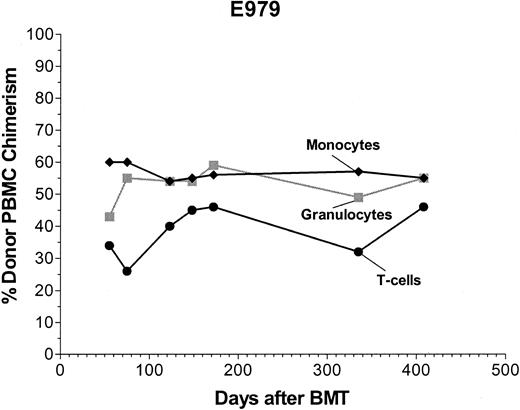 Figure 6. Donor chimerism of T cells, monocytes, and granulocytes. Results of microsatellite marker studies to evaluate donor chimerism in sorted TCR+ (T cells), CD14+ (monocytes), and DM5+ cells (granulocytes) in dog E979.