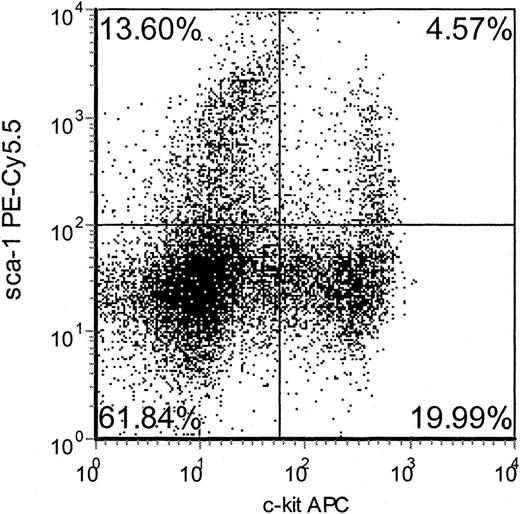 Figure 1. Expression of Sca-1 and c-kit on lineage-depleted mBM cells. Expression of these markers was used to form gates and sort Sca-1+c-kit+lin— cells (upper-right quadrant) and Sca-1+c-kit—lin— cells (upper-left quadrant) for further expression and functional analysis of populations of cells. Sample dot plot shown is representative of data obtained from 6 independent mBM samples.