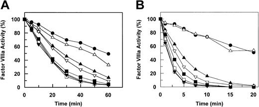 Figure 1. APC degradation of factor VIIIa in the absence and presence of protein S. (A) Human factor VIIIa (1 nM) was incubated with wild-type or mutant APC derivatives (2.5 nM each) on 25 μM PC/PS vesicles in TBS containing 1 mg/mL BSA, 0.1% PEG 8000, and 5 mM Ca2+. At the indicated time intervals, the remaining factor VIIIa activity was determined from the rate of factor Xa generation by the intrinsic Xase complex composed of 20 nM factor IXa, 500 nM factor X, and 25 μM PC/PS as described in “Materials and methods.” (B) Procedures were the same as those described in panel A except that the inactivation assay was carried out in the presence of human protein S (250 nM). The symbols for both panels are as follows: wild type (○), Lys-Lys-Lys/Pro-Gln-Glu (•), Lys62Ala (□), Lys63Ala (▪), Arg67Ala (▵), Arg74Ala (▴), Arg75Ala (▿), and Lys78Ala (▾). The symbols for the wild-type APC (○) are masked by those of the Lys62Ala mutant (□) because of similar degradation rates for both proteases.