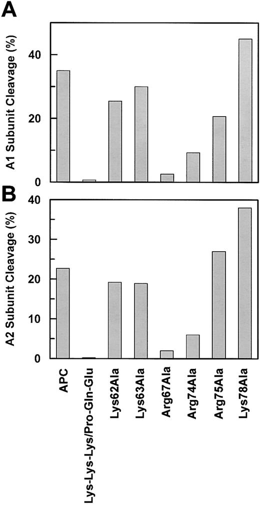 Figure 3. Scans of the band intensities of factor VIIIa cleavage reactions. Data are derived from the Western blot analysis by the 58.12 anti-A1 subunit (A) and R8B12 anti-A2 subunit monoclonal antibodies (B) as shown in Figure 2.