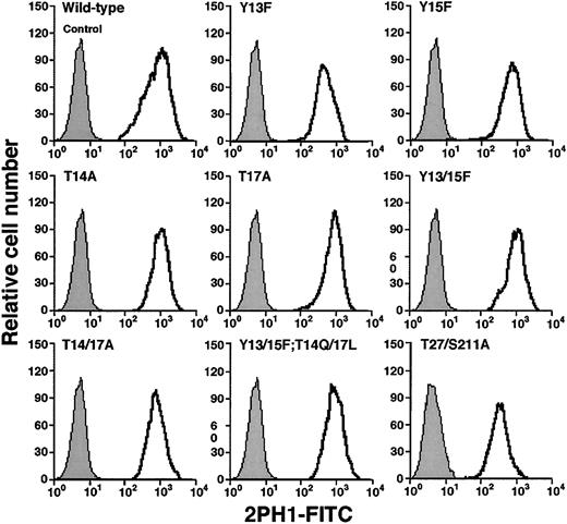 Fig. 2. Expression of wild-type or mutated murine PSGL-1 on transfected CHO cells coexpressing Core2GlcNAcT-I and FTVII. / The cells were permanently transfected with an empty expression vector (control) or with an expression vector encoding wild-type murine PSGL-1 or the indicated mutant PSGL-1 construct. The cells were incubated with antimurine PSGL-1 mAb 2PH1. Bound mAb was detected with FITC-conjugated rat antimouse IgG1 mAb. Incubation of PSGL-1–transfected cells with FITC-conjugated rat antimouse IgG1 mAb alone gave the same low background staining as observed with the cells transfected with the empty expression vector. The data are representative of at least 5 experiments.
