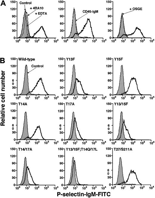 Fig. 3. Binding of fluid-phase murine P-selectin to transfected CHO cells. / (A) Specificity of binding. Left panel: CHO cells expressing Core2GlcNAcT-I, FTVII, and wild-type PSGL-1 were incubated with murine P-selectin/IgM in the presence or absence of EDTA or anti–PSGL-1 mAb 4RA10. Middle panel: The cells were incubated with P-selectin/IgM or murine CD45-IgM. Right panel: The cells were preincubated in the presence or absence of O-sialoglycoprotein endopeptidase (OSGE) and then incubated with P-selectin/IgM. Bound P-selectin/IgM was detected with FITC-conjugated goat antihuman IgM. Control cells were incubated with FITC-conjugated goat ant-human IgM alone. (B) CHO cells expressing Core2GlcNAcT-I, FTVII, and either wild-type or the indicated mutant murine PSGL-1 construct were incubated with murine P-selectin/IgM. Bound P-selectin/IgM was detected with FITC-conjugated goat antihuman IgM. Control cells were incubated with FITC-conjugated goat antihuman IgM alone. The data are representative of at least 5 experiments.
