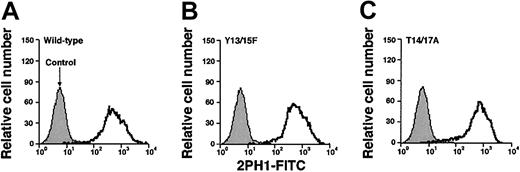 Fig. 6. Expression of wild-type or mutated murine PSGL-1 on transfected CHO cells coexpressing FTVII. / The cells were permanently transfected with an empty expression vector (control) or with an expression vector encoding wild-type murine PSGL-1 or the indicated mutant PSGL-1 construct. Staining with antimurine PSGL-1 mAb 2PH1 was performed as in Figure 2. The data are representative of at least 5 experiments.