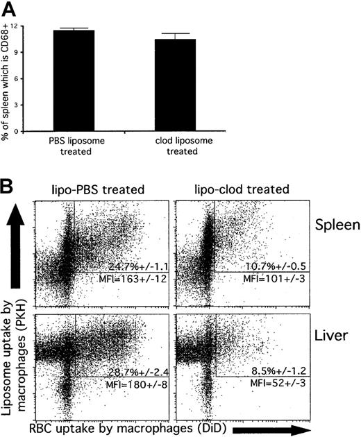 Fig. 4. Liposomal-clodronate blocking of phagocytosis of antibody-opsonized RBCs by splenic macrophages. / Mice were injected with PKH-labeled liposomes (containing either clodronate or PBS), and 2 hours later, DiD-labeled, antibody-opsonized RBCs (109). At 3 hours after RBC injection, animals were killed, and spleen and liver cells were stained for CD68. (A) CD68+ spleen cells (macrophages, dendritic cells, and monocytes) are not yet significantly depleted within this 5-hour time frame. Data are presented as percentages of total spleen cells. (B) Liposomal clodronate uptake blocks subsequent ingestion of opsonized RBCs by macrophages. Only CD68+ spleen or liver cells are shown. The uptake of PKH-labeled liposomes and the uptake of DiD-labeled RBCs are indicated by fluorescence in their respective channels. Percentage values represent the mean percentages (± standard errors) of CD68+ cells that are positive for both liposomes (PKH) and RBCs (DiD). MFI indicates mean DiD fluorescence of cells positive for both liposomes and RBCs. Data presented are from 1 experiment representative of 3.