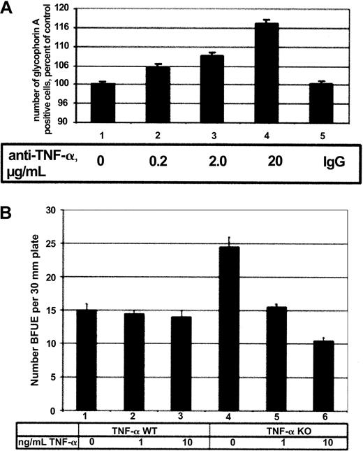 Fig. 6. Effects of TNF-α on human and murine primary erythroid cells. / (A) Human CD34+ cells were cultured in EPO or in EPO with 0.2, 2.0, or 20.0 μg/mL neutralizing TNF-α antibody for 7 days and assessed for glycophorin A expression by flow cytometry. Increasing amounts of antibody resulted in an increase in the number of glycophorin A–positive cells (lanes 2-4), whereas the addition of control IgG had no effect (lane 5). (B) Total bone marrow isolated from TNF-α wild-type (WT) (lanes 1-3) and TNF-α−/− (lanes 4-6) mice was incubated in EPO alone (lanes 1, 4) or EPO with 1 or 10 ng/mL TNF-α (lanes 2, 3, 5, 6) in semisolid media. The number of BFU-Es was counted 8 days after the start of the experiment and is expressed as number of BFU-Es detected per 30-mM plate.