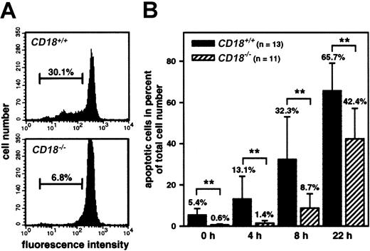 Fig. 3. Delayed apoptosis of PMNs inCD18−/− mice is also apparent in whole blood samples. / Flow cytometric analysis of CD16 expression on the cell surface of PMNs using the PE-labeled anti-CD16 mAb measured in whole blood samples obtained from CD18+/+(n = 13) or CD18−/− mice (n = 11). (A) Representative recording of the fluorescence histograms obtained from PMNs aged for 8 hours in culture without further stimulation. Numbers indicate apoptotic PMNs with low CD16 expression in percent of total cell number. (B) Mean values obtained after 0, 4, 8, or 22 hours of culture. Data represent means ± SDs; **P < .005.