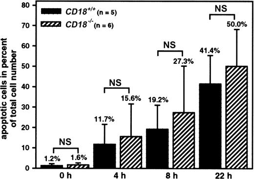 Fig. 5. No difference of apoptosis in PMNs derived from the bone marrow. / Apoptosis as measured by detecting the loss of DNA content by flow cytometry using PI-stained PMNs isolated from the bone marrow ofCD18+/+ (n = 5) orCD18−/− mice (n = 6) after 0, 4, 8, or 22 hours of culture. Data represent means ± SDs; NS indicates not significant.
