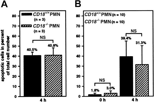 Fig. 10. Apoptosis ofCD18+/+ andCD18−/− PMNs derived fromCD18+/+/CD18−/−chimeric mice. / (A) Flow cytometric analysis of DNA content measured in PI-stainedCD18+/+ andCD18−/− PMNs isolated from the circulation ofCD18+/+/CD18−/−chimeric mice and aged for 4 hours in culture without further stimulation (n = 3). Data represent apoptotic PMNs with a loss of DNA content in percent of total cell number. Data represent means ± SDs; NS indicates not significant. (B) Flow cytometric analysis of CD16 expression on the cell surface ofCD18+/+ andCD18−/− PMNs in whole blood samples obtained from the circulation ofCD18+/+/CD18−/−chimeric mice and aged for 0 and 4 hours in culture without further stimulation using the FITC-labeled anti-CD16 mAb and the PE-labeled anti-CD18 mAb. Data represent apoptotic PMNs with diminished CD16 expression in percent of total cell number. Means ± SDs are shown; NS indicates not significant.