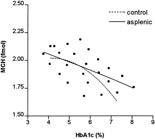 Fig. 3. The relationship between MCH and HbA1c in control and asplenic individuals. / The results of 24 fractions of asplenic individuals are shown. Each symbol represents the mean of 5 observations per fraction. The drawn line is the second order curve fit of the asplenic individuals; the broken line, that of the controls (individual values not given).