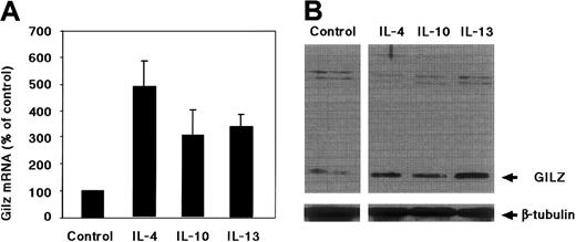 Fig. 4. IL-10 and Th2 cytokines stimulate GILZ production by human monocytes. / (A) GILZ mRNA from monocytes cultured with or without IL-10, IL-4, or IL-13 was amplified by RT-PCR. Optical density of amplified product was determined, and each is expressed as the mean ± SEM of 3 experiments. (B) GILZ protein in Western blot studies with monocytes cultured alone or with IL-4, IL-10, or IL-13. Results from 1 experiment typical of 2.