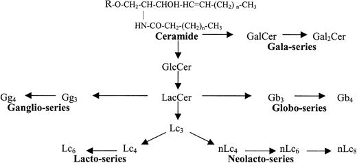 Fig. 1. Glycosphingolipid (GSL) families. / Structural and biosynthetic relationship of the 5 major GSL families in humans.