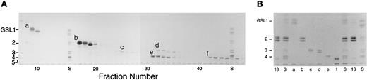 Fig. 3. HPLC isolation and purification of the 6 major neutral GSLs in ANLL. / (A) The total neutral GSL fraction from an ANLL M1 (sample 3) was separated by HPLC, followed by HPTLC of individual fractions (fraction numbers 7 through 47). Six major neutral GSLs (bands a-f) were identified. (B) HPTLC of the isolated and purified major neutral GSLs (bands a-f) in ANLL. The total neutral GSL fractions from an ANLL (sample 3) and CML (sample 13) were included as controls. Lane S, commercial GSL size standards ranging from monoglycosylceramides (GSL1, GlcCer), diglycosylceramides (GSL2, LacCer), triglycosylceramides (GSL3, Gb3), tetraglycosylceramides (GSL4, Gb4), and pentaglycosylceramides (GSL5, Forssman). HPTLC solvent, C/M/W 65:25:4 (vol/vol). Stain, DPA reagent.