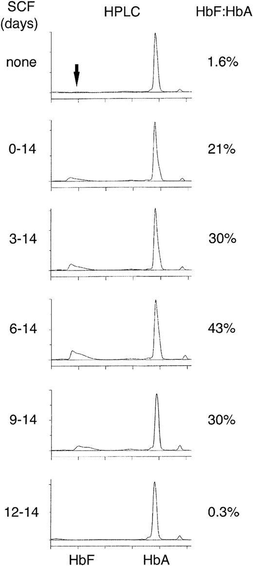 Fig. 3. HPLC analyses on day 14 after addition of SCF progressively later during the culture period. / EPO (4 U/mL) was present in the culture medium of all cultures and SCF (50 ng/mL) was added on the days indicated on the left in matched cultures. HPLC measurements performed on day 14 for all the samples. The HbF and HbA elution times were determined with standard proteins and by mass spectroscopy. The HbF/HbA ratio, expressed as a percentage, is shown on the right. The panels shown are representative of cultures from 3 separate blood donations demonstrating similar results.