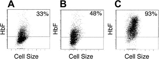 Fig. 4. Early versus late effects of SCF on HbF distribution. / Cells were analyzed after 2-week erythroid culture in (A) EPO alone on days 0 to 14, (B) EPO plus SCF on days 0 to 7 followed by EPO alone on days 7 to 14, and (C) EPO alone on days 0 to 7 followed by EPO plus SCF on days 7 to 14. Each panel shows the flow cytometric distribution of HbF after staining with fluorescent antibodies (y-axis) versus cell size (x-axis). A negative fluorescence level (below horizontal bar) was determined using isotypic control antibodies. The percentage of positive cells is shown on the upper right corner of each panel. The panels shown are representative of cultures from 3 separate blood donors demonstrating similar results.