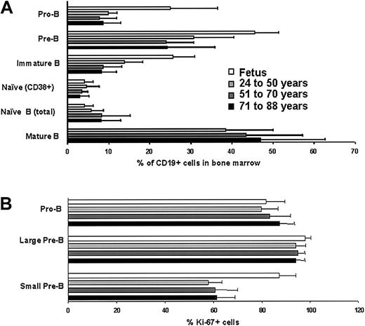 Fig. 1. Relative frequencies and mitotic activity of B-lineage precursors in BM do not change during adult life. / (A) The incidences of pro B cells (CD34+CD10+CD19+), pre-B cells (CD19+sIgM−cμ+), immature B (IgM+CD24hiCD10+IgD−), naive B (IgM+CD24hiIgD+CD38+/−), and mature B (IgM+CD24loIgD+CD38−) cells were determined by flow cytometry and shown as percentages of total viable CD19+ lymphocytes (%) ± SDs. (B) Expression of the Ki-67 nuclear proliferation antigen was determined by flow cytometry, using low-angle light scatter to resolve large and small lymphocytes. The data represent average percentages of pro-B cells (CD34+CD19+) and pre-B cells (CD19+sIgM−cμ+) ± SDs. Differences between groups were not statistically significant (P > .05).