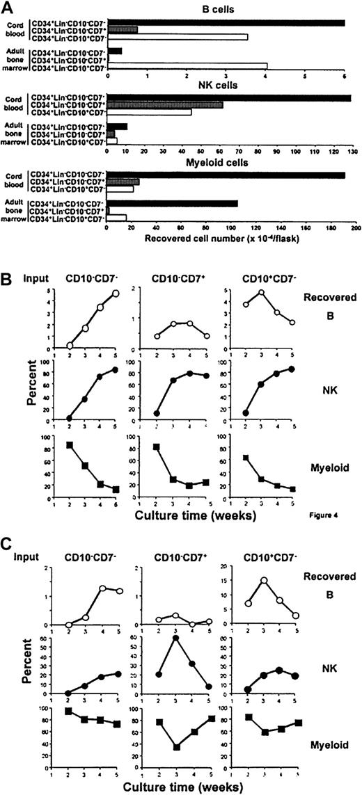 Fig. 4. Early lymphohematopoietic progenitors in CB and adult BM differ with respect to expansion and differentiation potential. / CD34+Lin−CD10−CD7−, CD34+Lin−CD10−CD7+, and CD34+Lin−CD10+CD7−cells were sorted from CB or adult BM and cultured with MS-5 stromal cells (1 × 104 cells/flask in each fraction). Yields of CD19+ B–, CD56+ NK–, and CD13+/CD33+ myeloid–lineage cells in 3-week cultures are shown (A). The B-, NK-, and myeloid-lineage compositions were also determined weekly in cultures initiated with fractions sorted from CB (B) or adult BM (C). Similar results were obtained in 2 independent side-by-side comparisons between CB and adult BM.