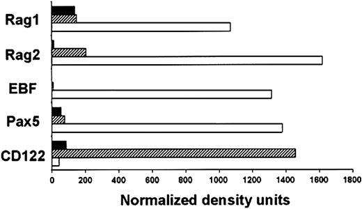Fig. 5. B-lineage characteristics are established by the CD10+ stage in adult BM. / Expression of lineage-related genes was examined in the CD34+Lin−CD10−CD7−(▪), CD34+Lin−CD10−CD7+ (▨), and CD34+Lin−CD10+CD7−(■) fractions sorted from adult BM. RT-PCR was used to amplify transcripts for the indicated genes, and the results were normalized according to GAPDH expression.
