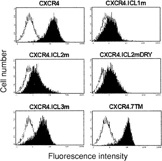 Fig. 2. Expression of wild-type and mutated CXCR4 molecules at the surface of the HEK/CD4.403 cell line. / Cells were incubated with medium containing the anti-CXCR4 mAb at 10 μg/mL. Bound mAb was detected with a FITC-labeled antimouse immunoglobulin. The white histogram represents binding of anti-CXCR4 mAb to HEK/CD4.403 cells, and black histograms to the different CXCR4 molecules analyzed. The fluorescence intensity was recorded in log mode on an EPICS XL4 cytofluorometer. Data representative of 1 to 5 independent experiments are shown.