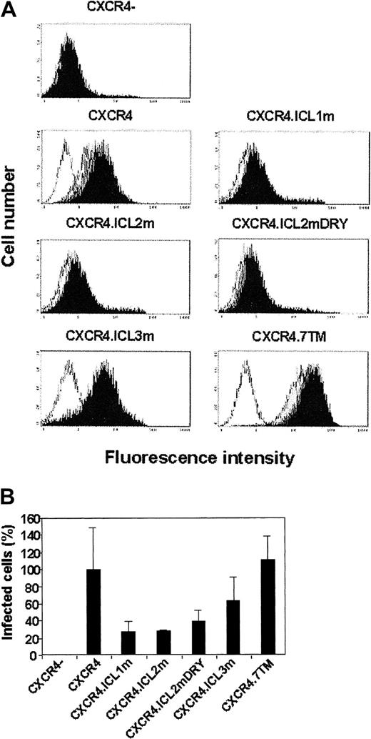 Fig. 3. Functional cell surface expression of wild-type and mutated CXCR4 receptors after stable transfection of the HEK/CD4.403 cell line. / (A) Cells were incubated with PBS alone (white histograms) or a solution of SDF-1 at 100 nM (light gray histograms), 200 nM (dark gray histograms), or 400 nM (black histograms) in PBS at 4°C. After incubation of the anti–SDF-1 antibody at 10 μg/mL, bound antibody was detected with a FITC-labeled antirabbit immunoglobulin. Data representative of 1 to 5 experiments are shown. (B) Cells expressing CD4.403 and wild-type or mutated CXCR4 molecules were infected by the HIV–R7-GFP33 for 4 days as described in “Materials and methods,” and GFP+ cells were analyzed by flow cytometry. The percentage of R7-GFP–infected cells expressing wild-type CXCR4 is defined as 100% and corresponds to the ratio of GFP+ cells expressing wild-type CXCR4 to GFP+ cells that do not express CXCR4. The histograms represent the percentage of infected cells. Data are expressed as means ± SDs of 4 different experiments.