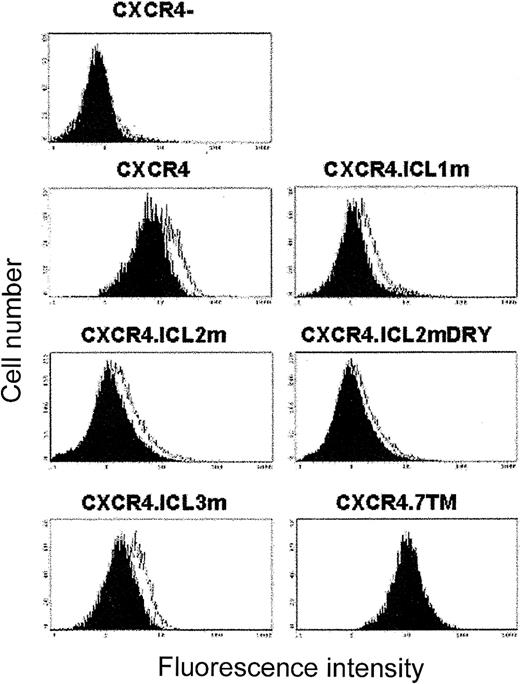 Fig. 4. SDF-1–induced internalization of wild-type and mutated CXCR4 molecules stably expressed at the surface of the HEK/CD4.403 cell line. / Cells were incubated with PBS alone (white histograms) or a solution of SDF-1 at 200 nM (black histograms) in PBS at 37°C. After incubation of the anti-CXCR4 mAb at 10 μg/mL, bound Ab was detected with a FITC-labeled antimouse immunoglobulin. Results of data from 1 experiment representative of 4 are shown.
