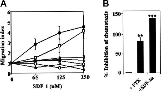 Fig. 7. SDF-1–induced chemotaxis of HEK/CD4.403 cells stably transfected with wild-type or mutated CXCR4 molecules. / Cells were subjected to chemotaxis by using SDF-1α at 65, 125, or 250 nM, fixed, stained, and counted under a high-power field microscope. (A) Migration index obtained with the different clones (⋄, CXCR4−; ●, CXCR4+; ■, CXCR4.ICL1m; ○, CXCR4.ICL2m; ▴, CXCR4.ICL2mDRY; ▪, CXCR4.ICL3m; ▵, CXCR4.7TM). Results are expressed as means of at least 5 independent experiments; error bars reflect SDs. (B) Inhibition of SDF-1–induced chemotaxis in HEK/CD4.403/CXCR4 cells. Cells expressing wild-type CXCR4 were preincubated overnight with PTX (100 ng/mL). SDF-1 was also added to the upper and lower chemotaxis chambers (250 nM) to eliminate the chemokine gradient. Data are expressed as means ± SDs of 3 independent experiments. Statistical analysis was performed as described in “Materials and methods” (*P < .05, **P < .01, ***P < .001).