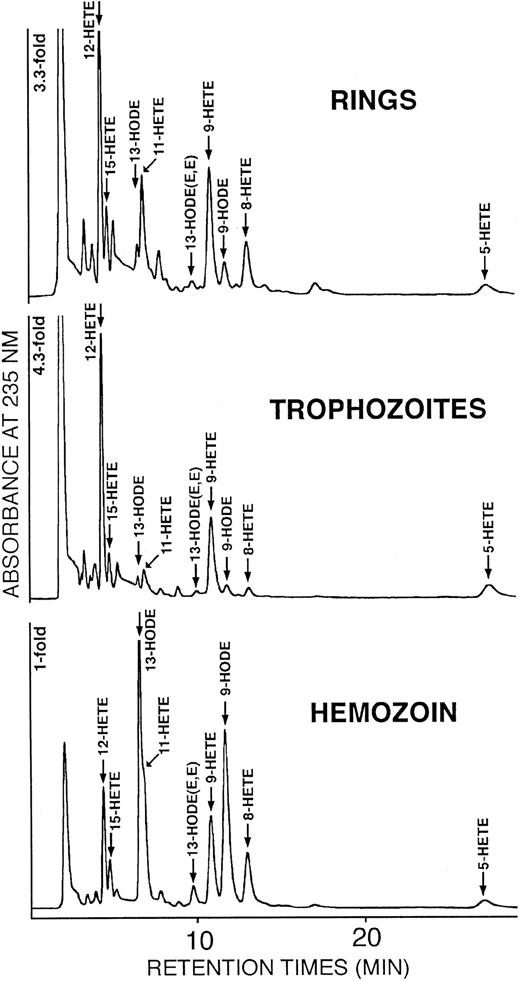 Fig. 3. Separation and identification of OH-PUFA isomers in stage-separated parasitized RBCs and hemozoin. / Rings, trophozoites, and hemozoin were separated from synchronized cultures, and the lipids were extracted. The solvents were removed, the remaining lipids were hydrolyzed under alkaline conditions, and OH-PUFA was analyzed by RP-HPLC (see “Materials and methods” for details). Aliquots of the OH-PUFA fraction were dried under vacuum, the remaining lipids were reconstituted in N-hexane containing 0.1% acetic acid, and aliquots were analyzed by SP-HPLC as described in “Materials and methods.” The chemical structure of the major OH-PUFAs (12-HETE, 13-HODE, 9-HODE) was confirmed from cochromatography with authentic standards in reverse phase–, normal phase–, and chiral phase–HPLC, from UV-spectroscopy and gas chromatography/mass spectroscopy.