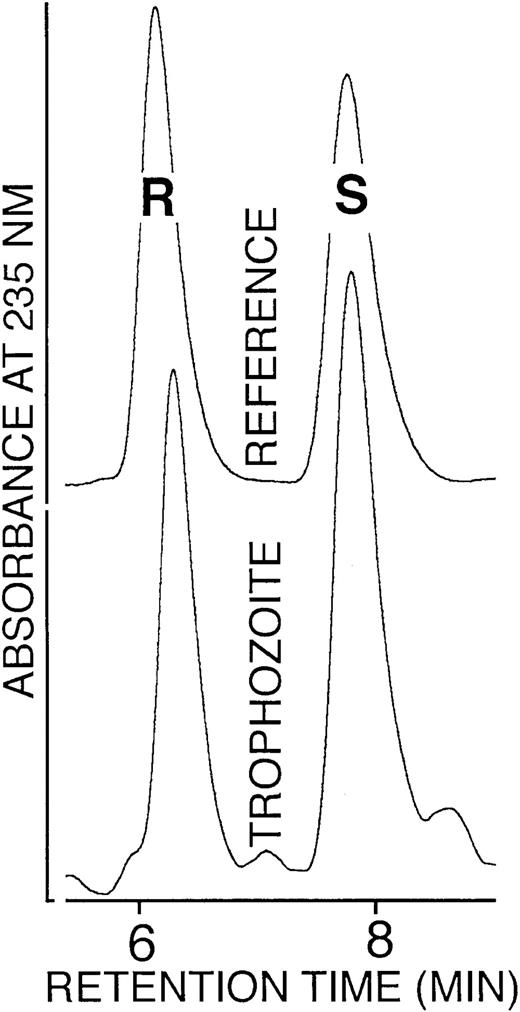 Fig. 5. Enantiomer composition of 12-HETE isolated from trophozoites. / The 12-HETE was prepared from trophozoites by lipid extraction, alkaline hydrolysis, and sequential RP-HPLC and SP-HPLC. The SP-HPLC eluate fractions containing 12-HETE were collected, the solvent was removed under vacuum, the remaining lipids were reconstituted in N-hexane containing 0.1% acetic acid, and aliquots were analyzed by chiral phase HPLC as described in “Materials and methods.”