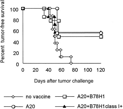 Fig. 3. Allogeneic MHC class I expression on bystander tumor cells does not improve long-term survival of lymphoma-bearing mice. / On day 0, BALB/c mice were injected intravenously with 105live A20 tumor cells. On days 1, 5, 15, and 30, tumor-bearing mice were subcutaneously vaccinated with irradiated 106 A20 cells alone or together with 106 allogeneic class I–positive or –negative B78H1 cells. A group of tumor-bearing mice was left unvaccinated. Mice were monitored weekly for the development of tumor. Fourteen mice were included in each group.