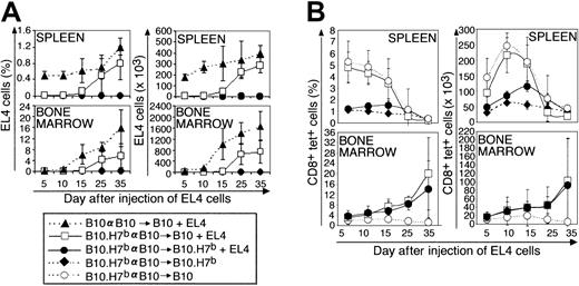 Fig. 3. Analysis of the expansion kinetics of B6dom1-specific T cells and EL4 cells following adoptive T-cell transfer in B10 and B10.H7b hosts. / BM cells (107) and spleen cells (5 × 107) from donors preimmunized with B10 splenocytes on day −14 were injected into irradiated (10 Gy) B10 or B10.H7b recipients on day 0. Some groups were injected with 5 × 105 EL4 cells on day +1 (+EL4). (A) Proportion and absolute number of EL4 cells found in recipient spleen and BM (2 tibiae and femurs). (B) Proportion and absolute number of B6dom1-specific T cells in recipient spleen and BM. Results are depicted as the mean ± SD of 3 mice per group.