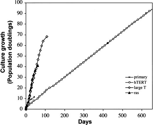 Fig. 4. Population doubling of primary and gene-transduced human stromal cells. / The x-axis indicates the number of incubation days, and the y-axis indicates the number of population doublings. × indicates primary stromal cells; ○, hTERT-stromal cells; ⋄, large T–stromal cells; ▴, ras-stromal cells.